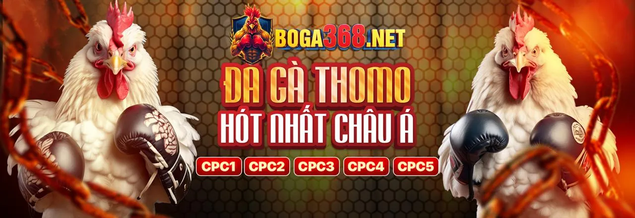 Hình ảnh chính sách cookie an toàn của 7clubs link mới